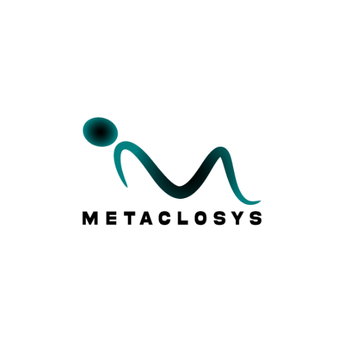 Metaclosys Logo